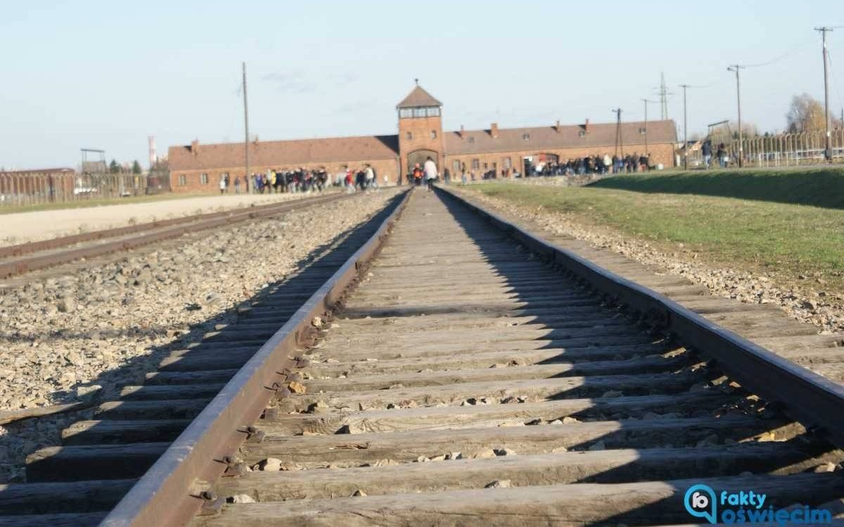 Wojna i Auschwitz. Pamięć a edukacja – FILM