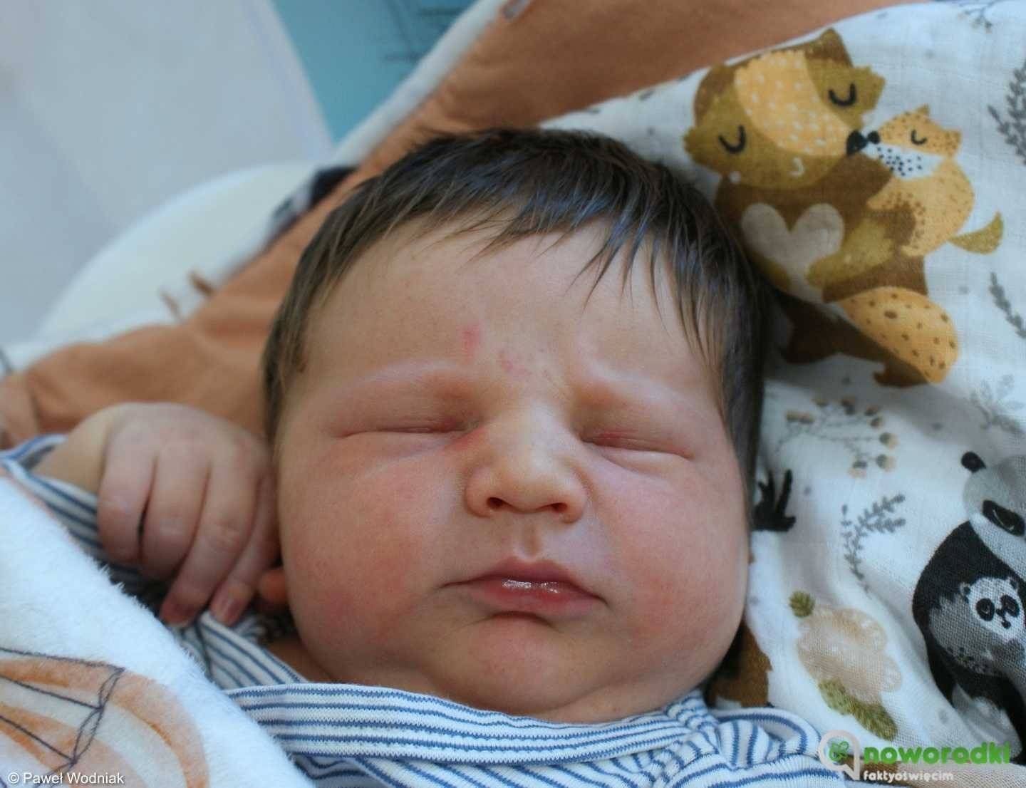 Noworodkowa galeria Faktów Oświęcim – FOTO