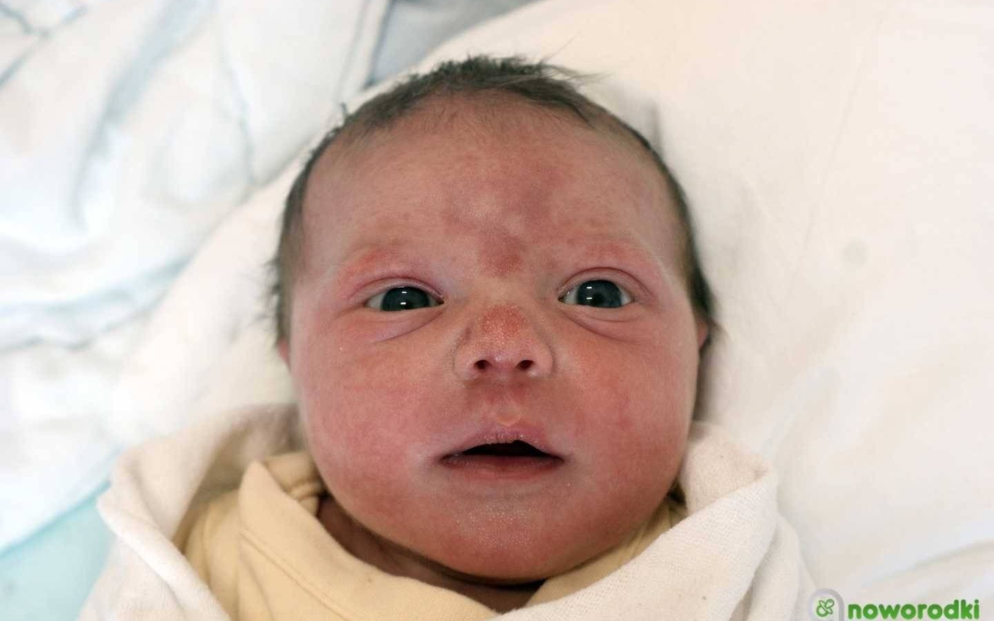 Noworodkowa galeria Faktów Oświęcim – FOTO