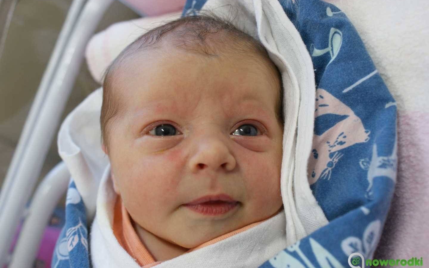 Noworodkowa galeria Faktów Oświęcim – FOTO