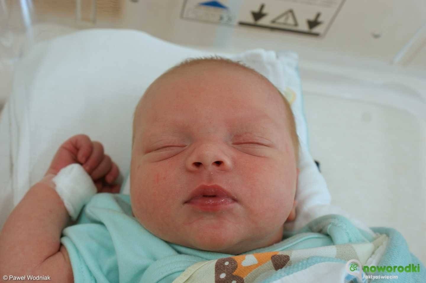 Noworodkowa galeria Faktów Oświęcim – FOTO