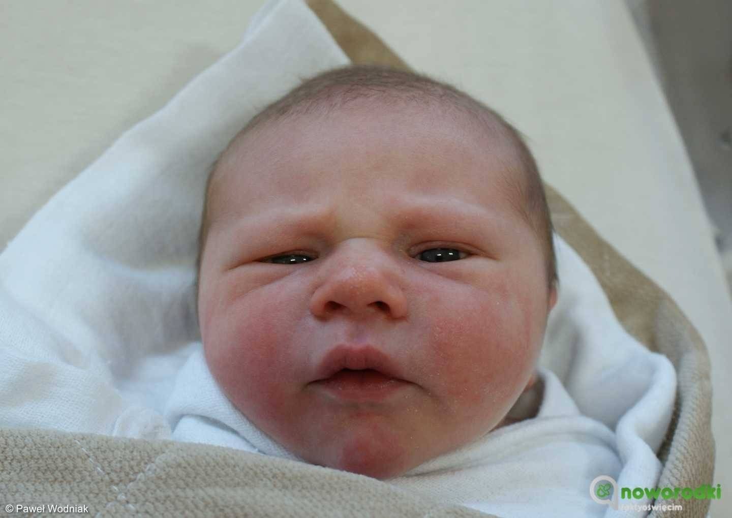 Noworodkowa galeria Faktów Oświęcim – FOTO