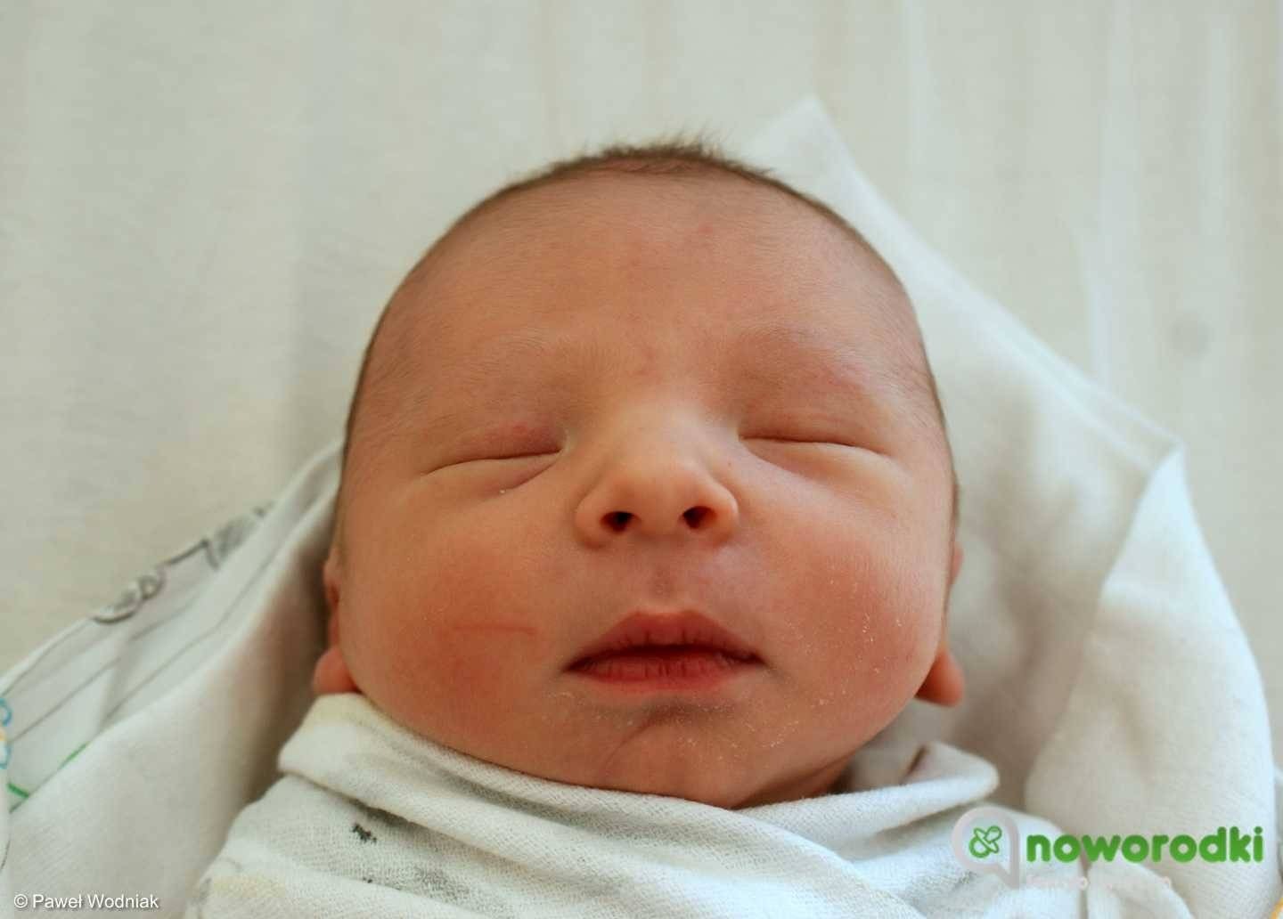 Noworodkowa galeria Faktów Oświęcim – FOTO