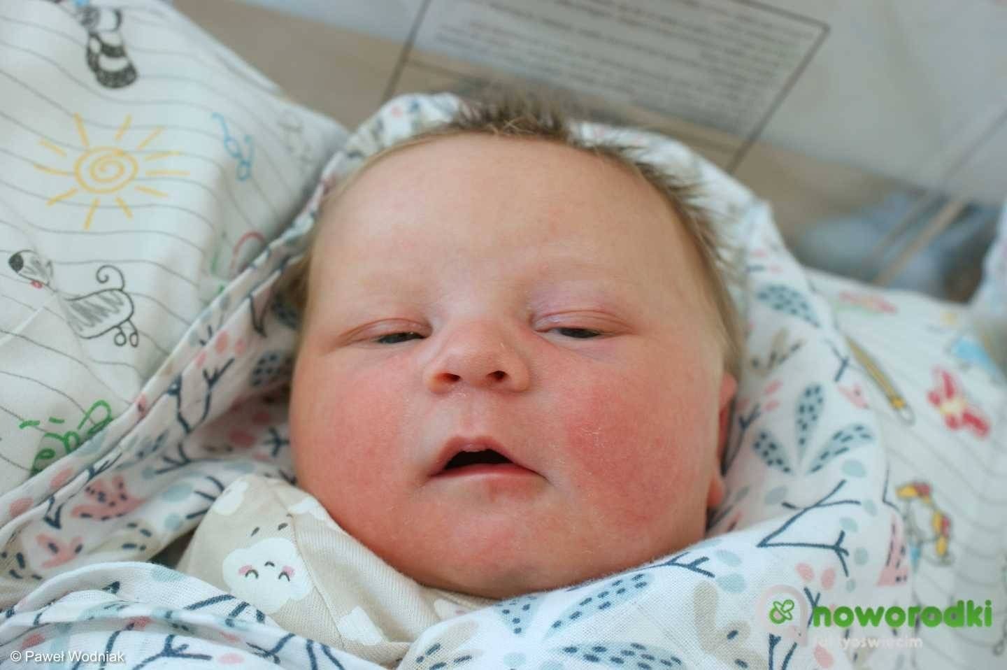 Noworodkowa galeria Faktów Oświęcim – FOTO