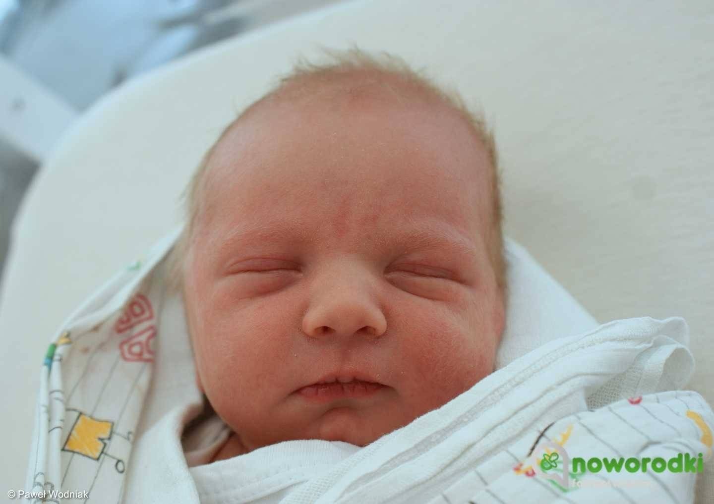 Noworodkowa galeria Faktów Oświęcim – FOTO