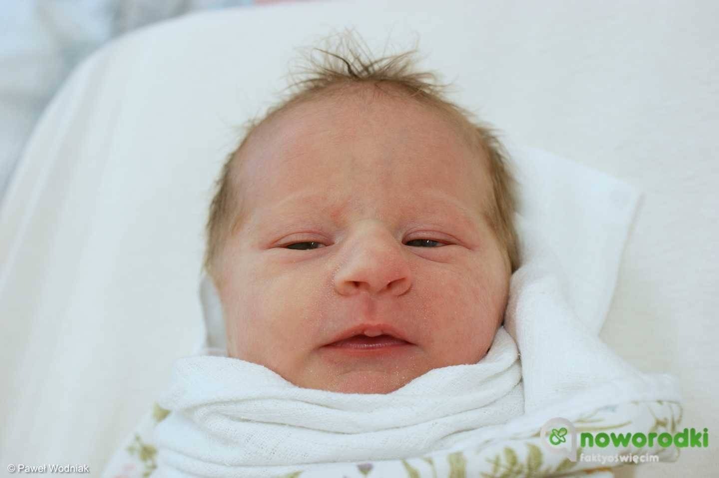 Noworodkowa galeria Faktów Oświęcim – FOTO