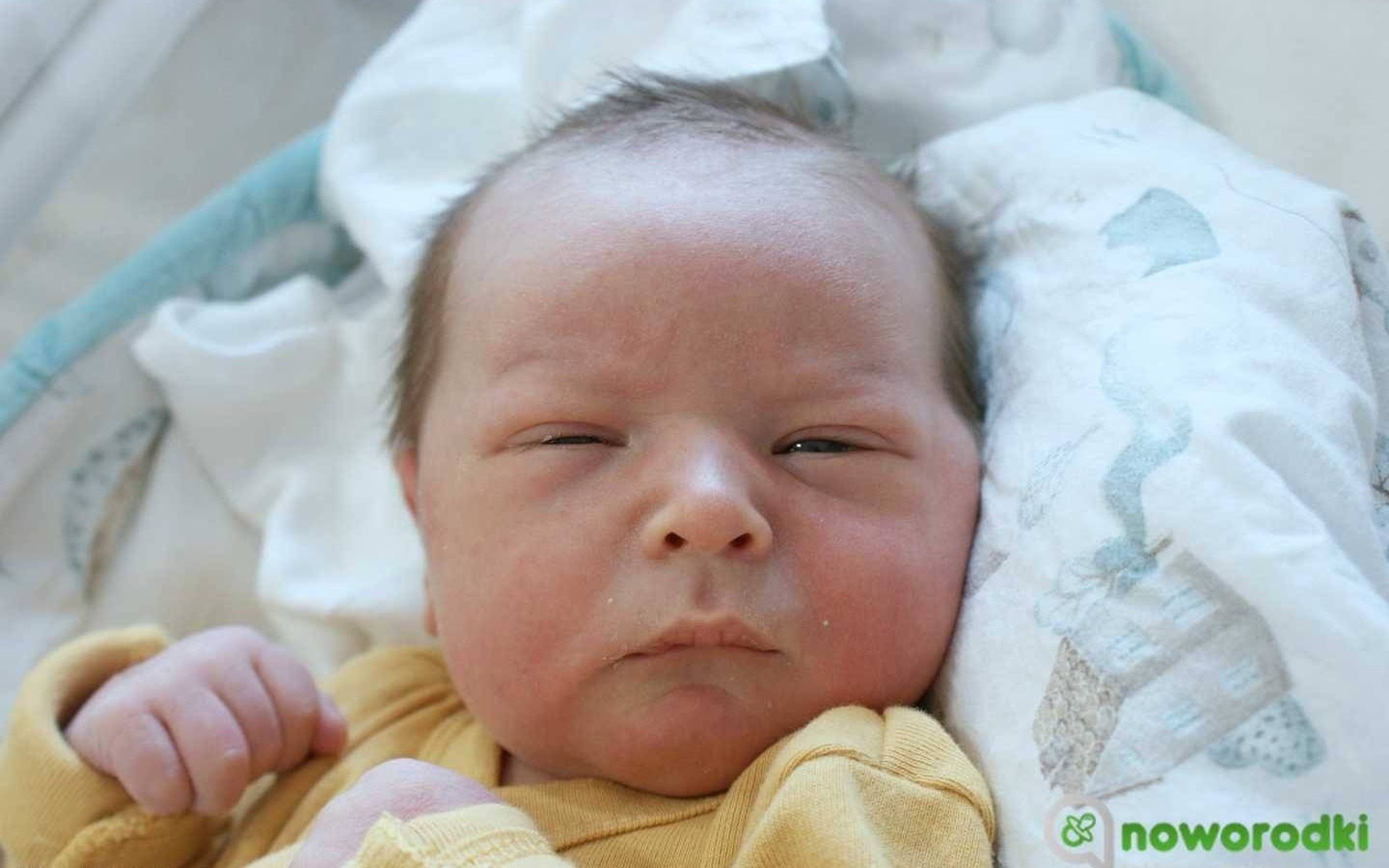 Noworodkowa galeria Faktów Oświęcim – FOTO