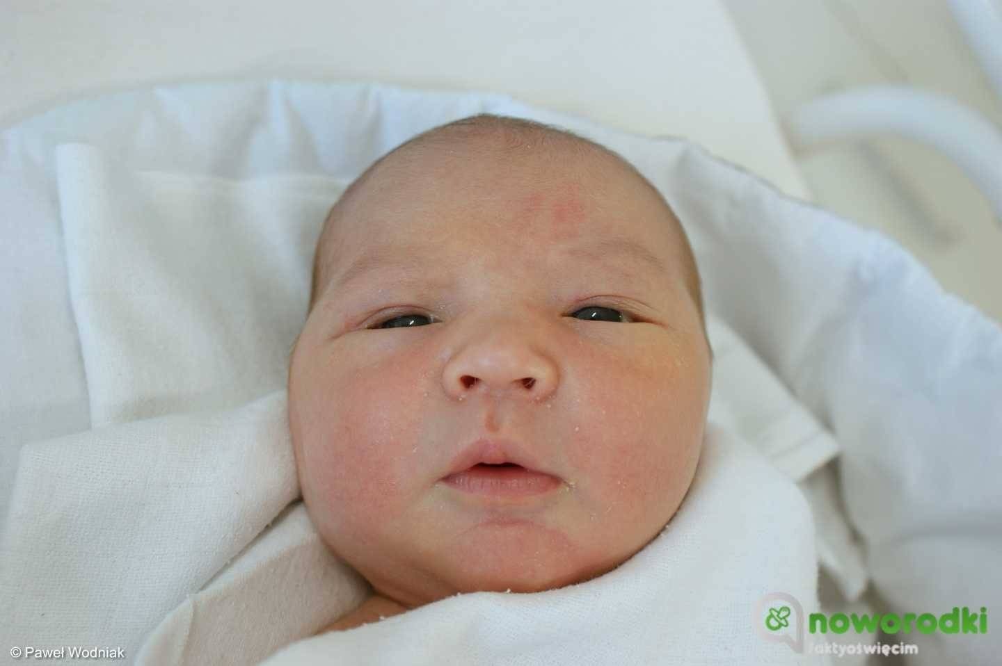 Noworodkowa galeria Faktów Oświęcim – FOTO