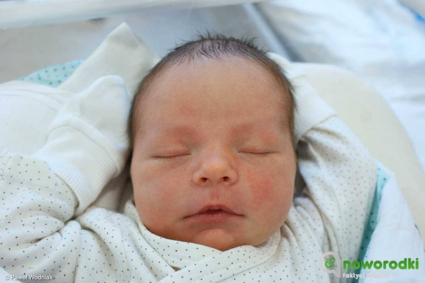 Noworodkowa galeria Faktów Oświęcim – FOTO