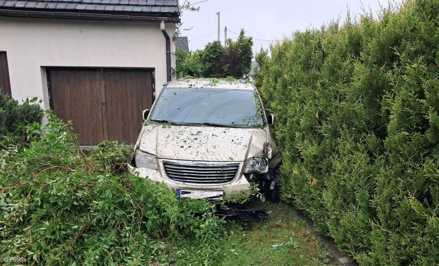 Po pijanemu wjechał w krzewy i wziął nogi za pas – FOTO