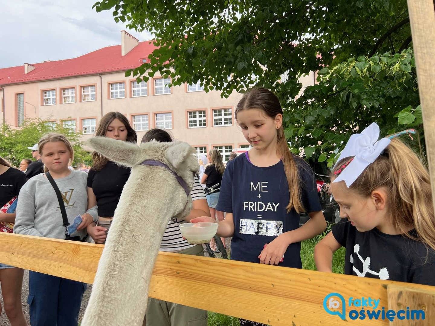 Cyrkowy Piknik z Dwójką i Faktami Oświęcim – FILM, FOTO