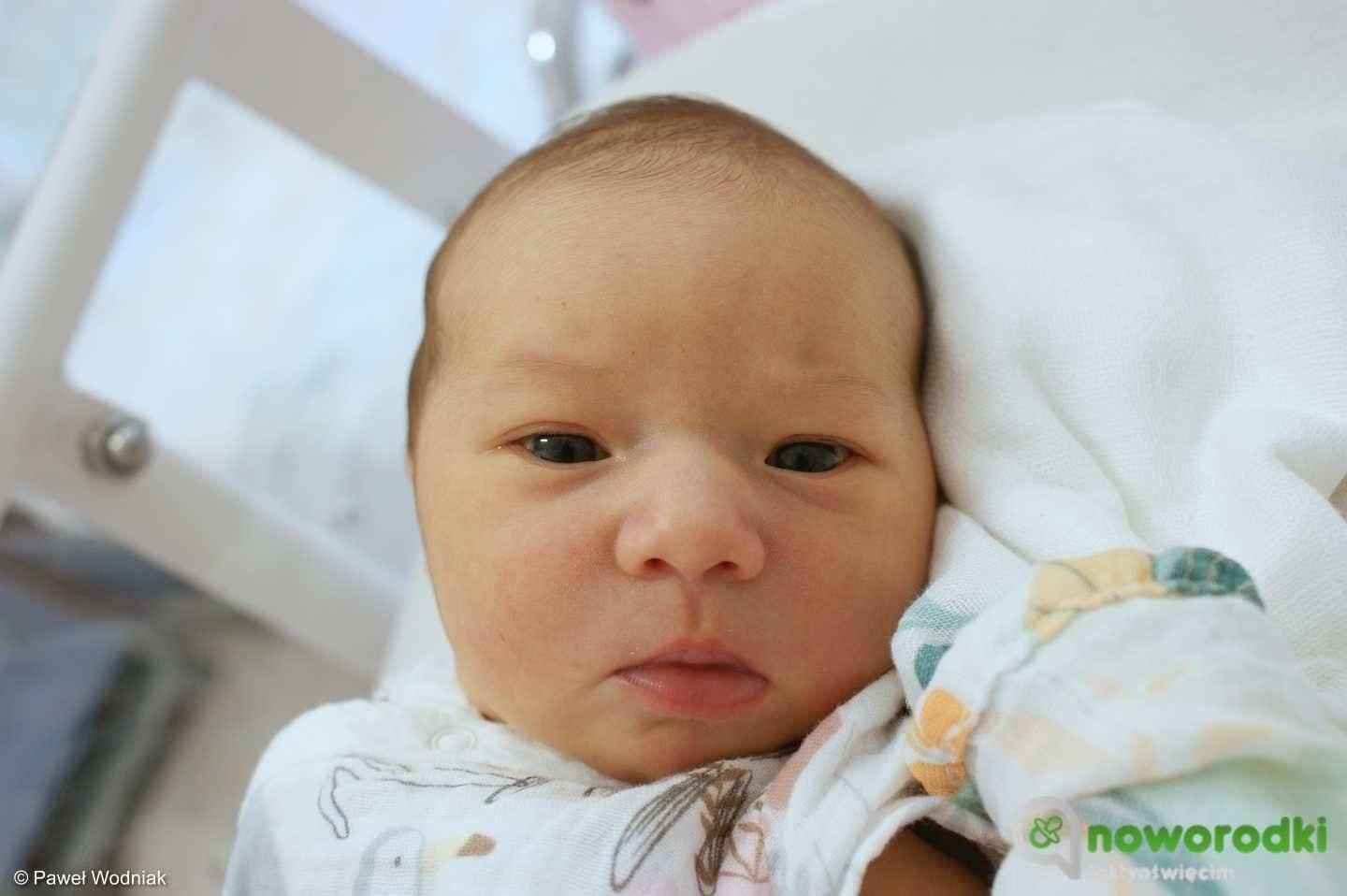 Noworodkowa galeria Faktów Oświęcim – FOTO