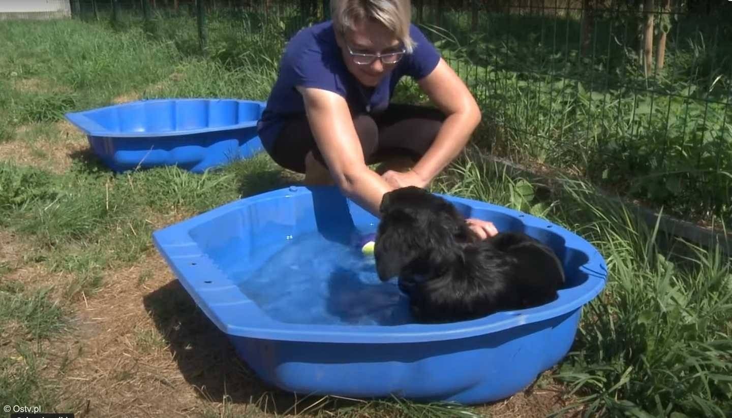 Oświęcimskie Wieści z ratusza – FILM