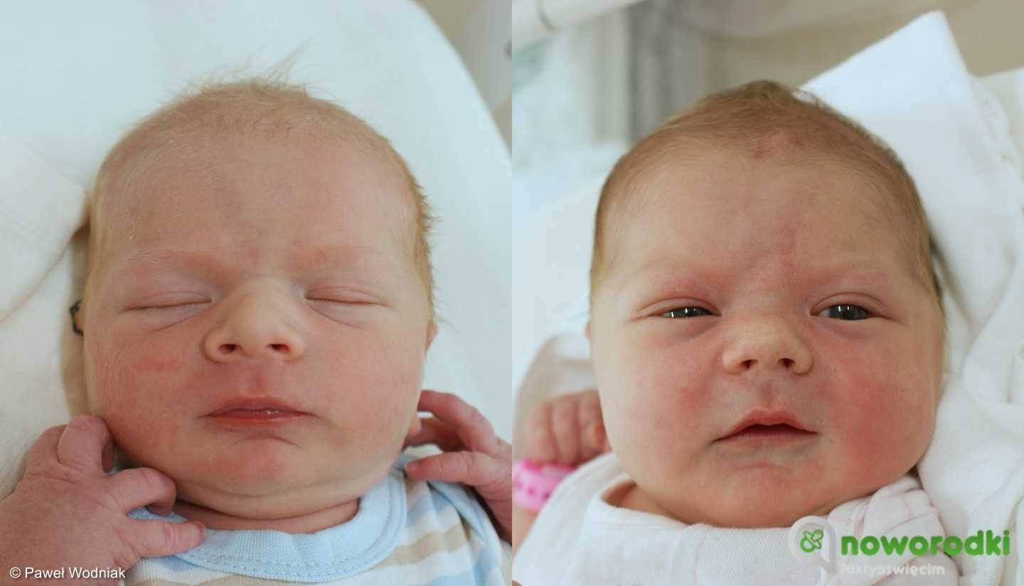 Noworodkowa galeria Faktów Oświęcim – FOTO