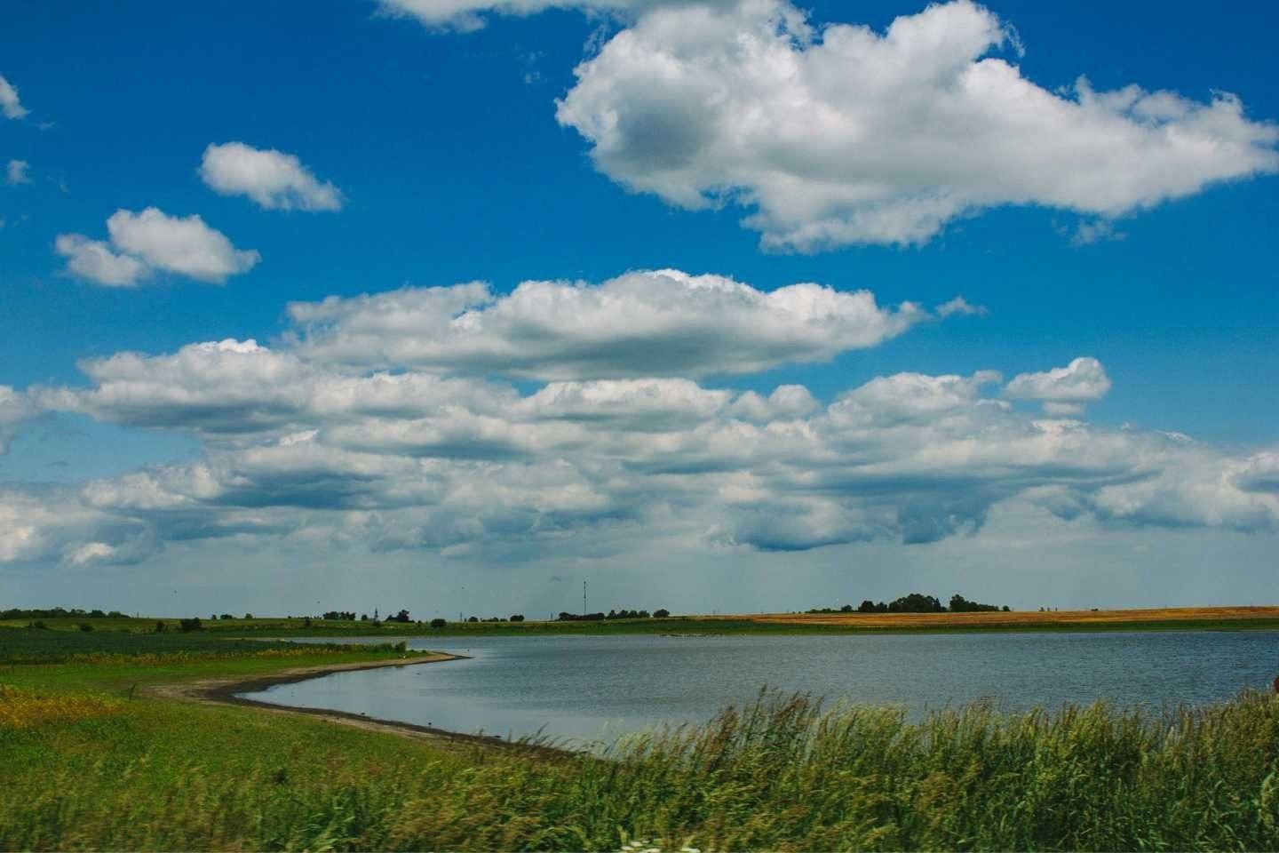 Zasnęła na brzegu stawu i stoczyła się do wody