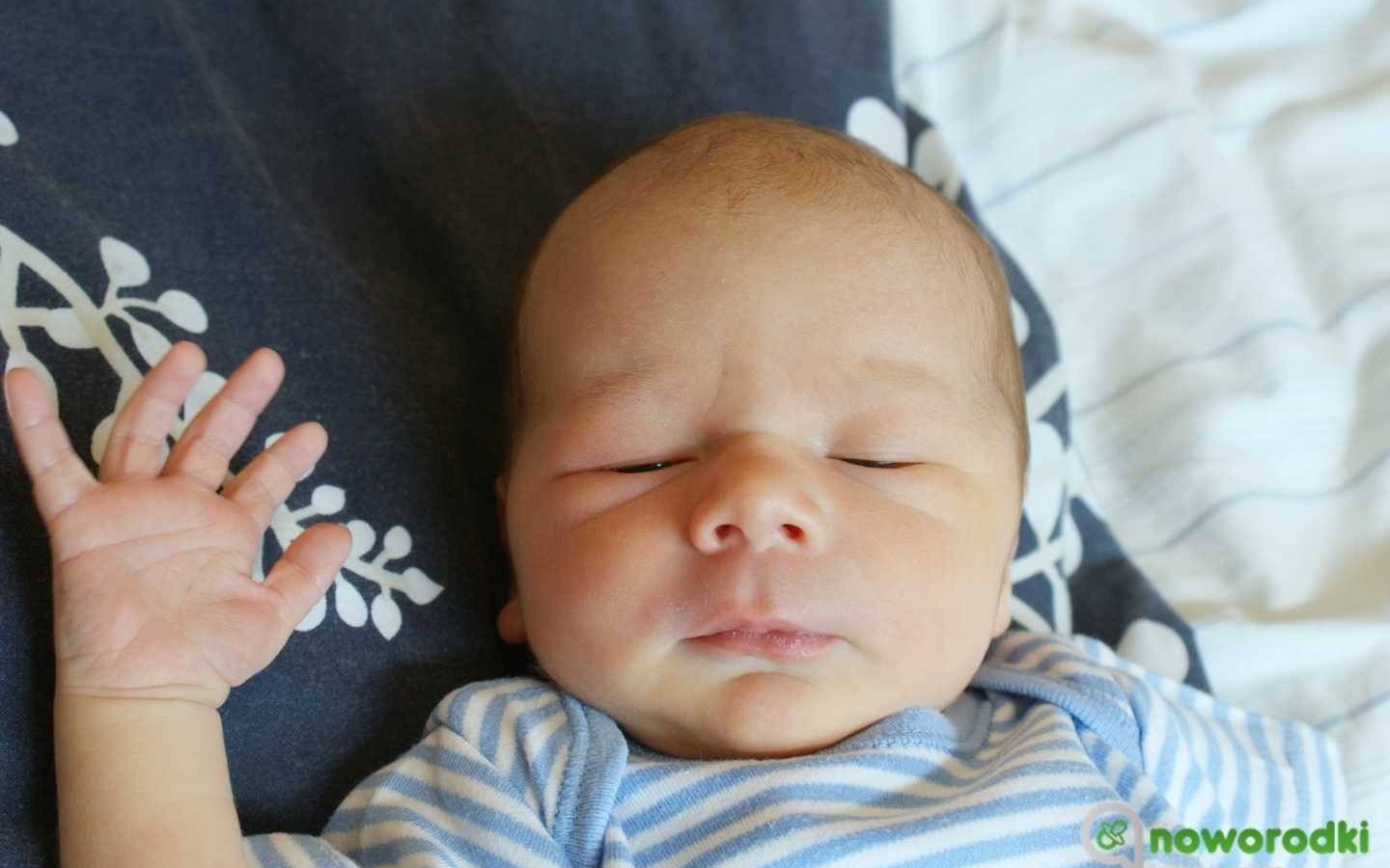 Noworodkowa galeria Faktów Oświęcim – FOTO