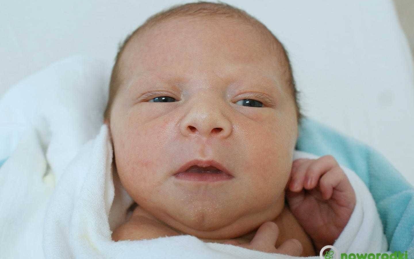 Noworodkowa galeria Faktów Oświęcim – FOTO