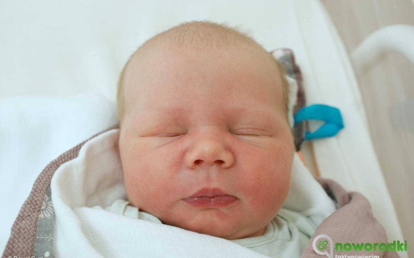 Noworodkowa galeria Faktów Oświęcim – FOTO