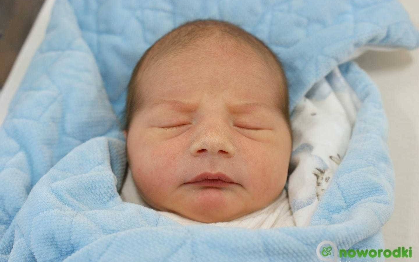 Noworodkowa galeria Faktów Oświęcim – FOTO