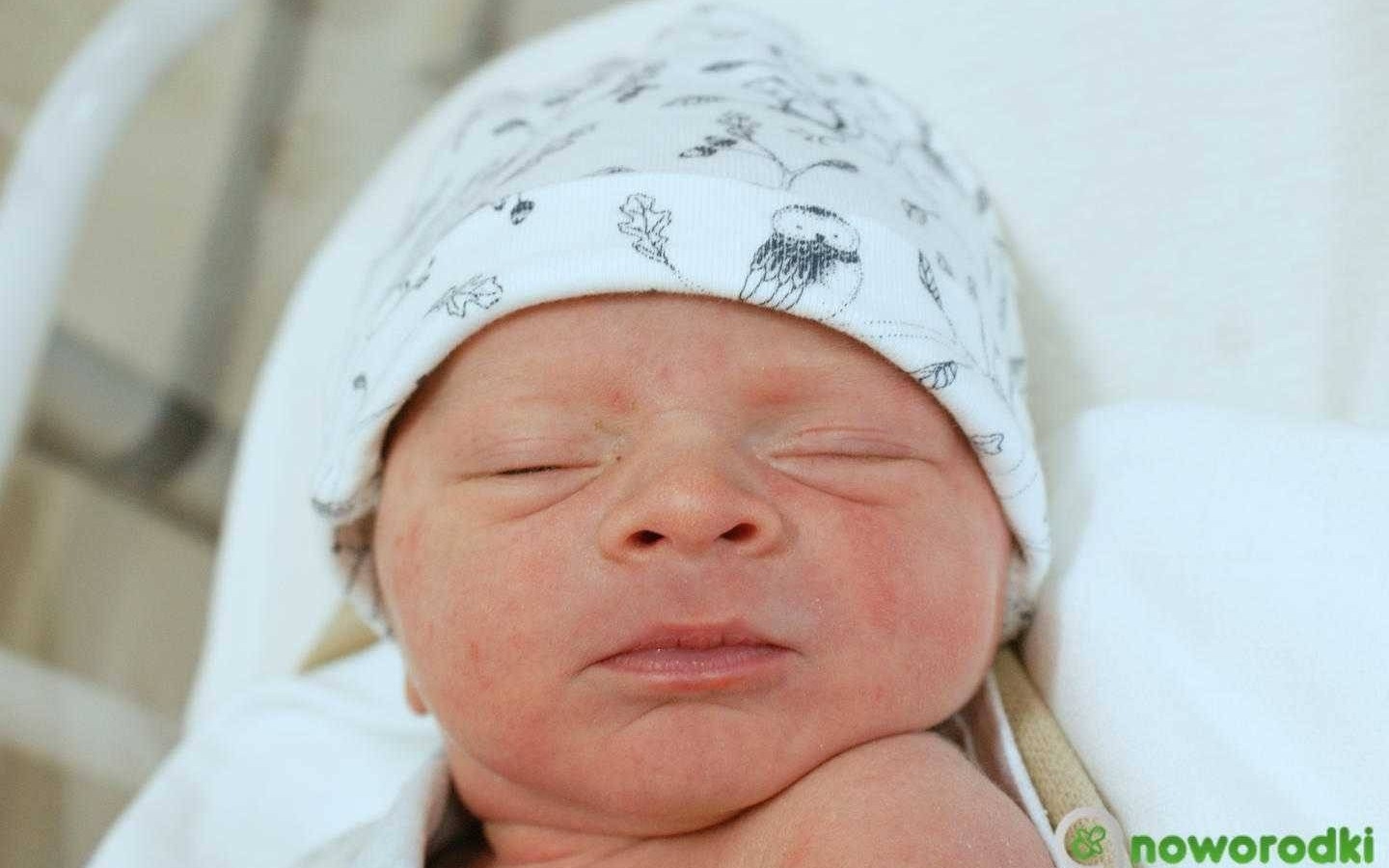 Noworodkowa galeria Faktów Oświęcim – FOTO