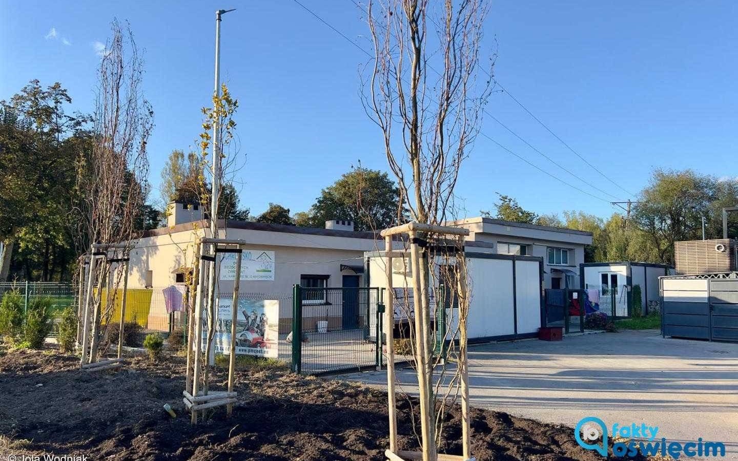 Oświęcim daje więcej pieniędzy na opiekę nad zwierzętami