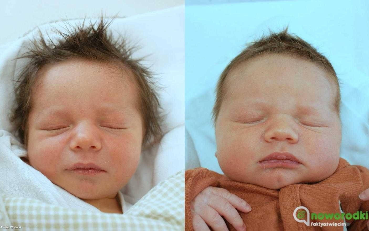 Noworodkowa galeria Faktów Oświęcim – FOTO