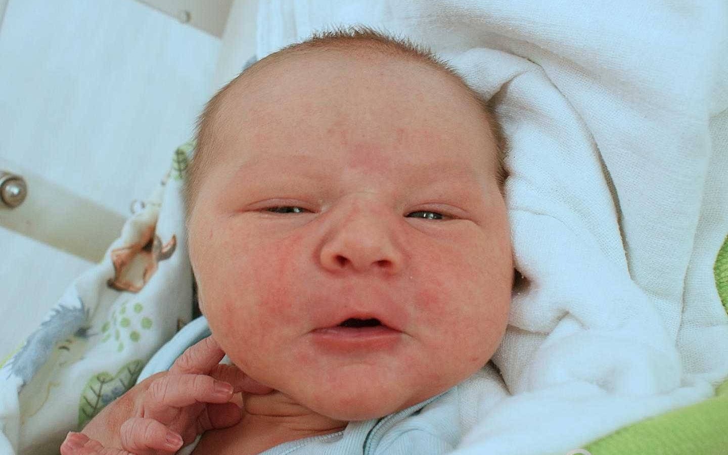 Noworodkowa galeria Faktów Oświęcim – FOTO