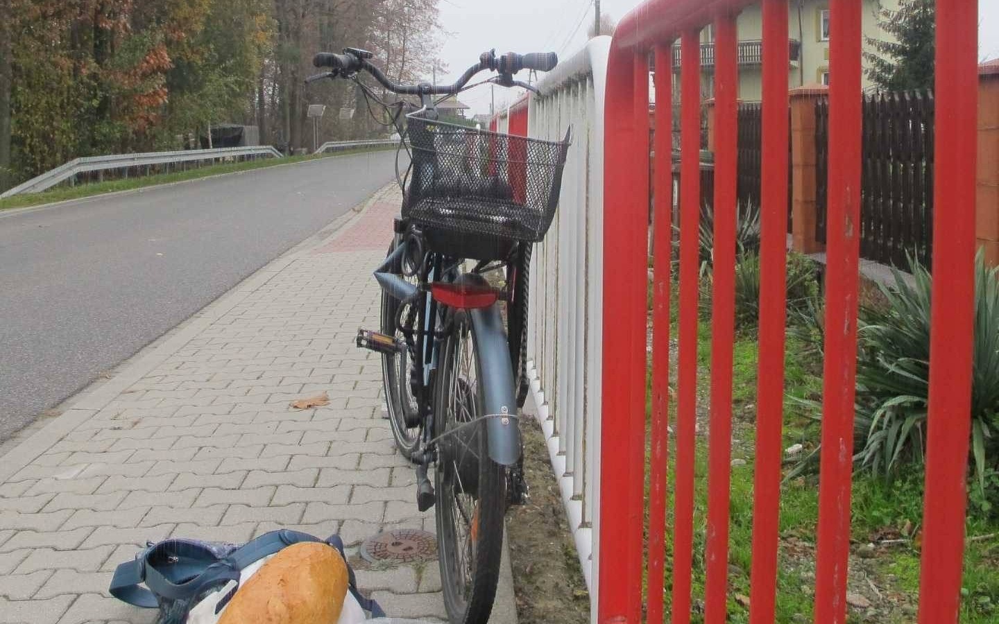 Podczas wyprzedzania potrącił seniorkę na rowerze