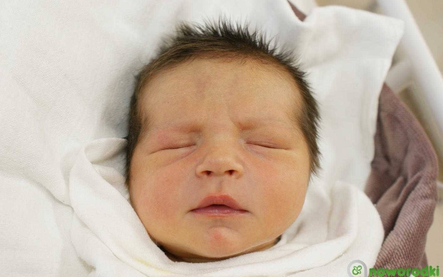 Noworodkowa galeria Faktów Oświęcim – FOTO