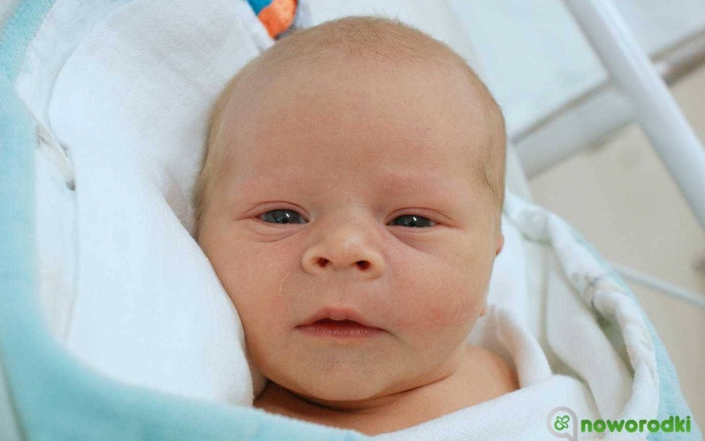 Noworodkowa galeria Faktów Oświęcim – FOTO