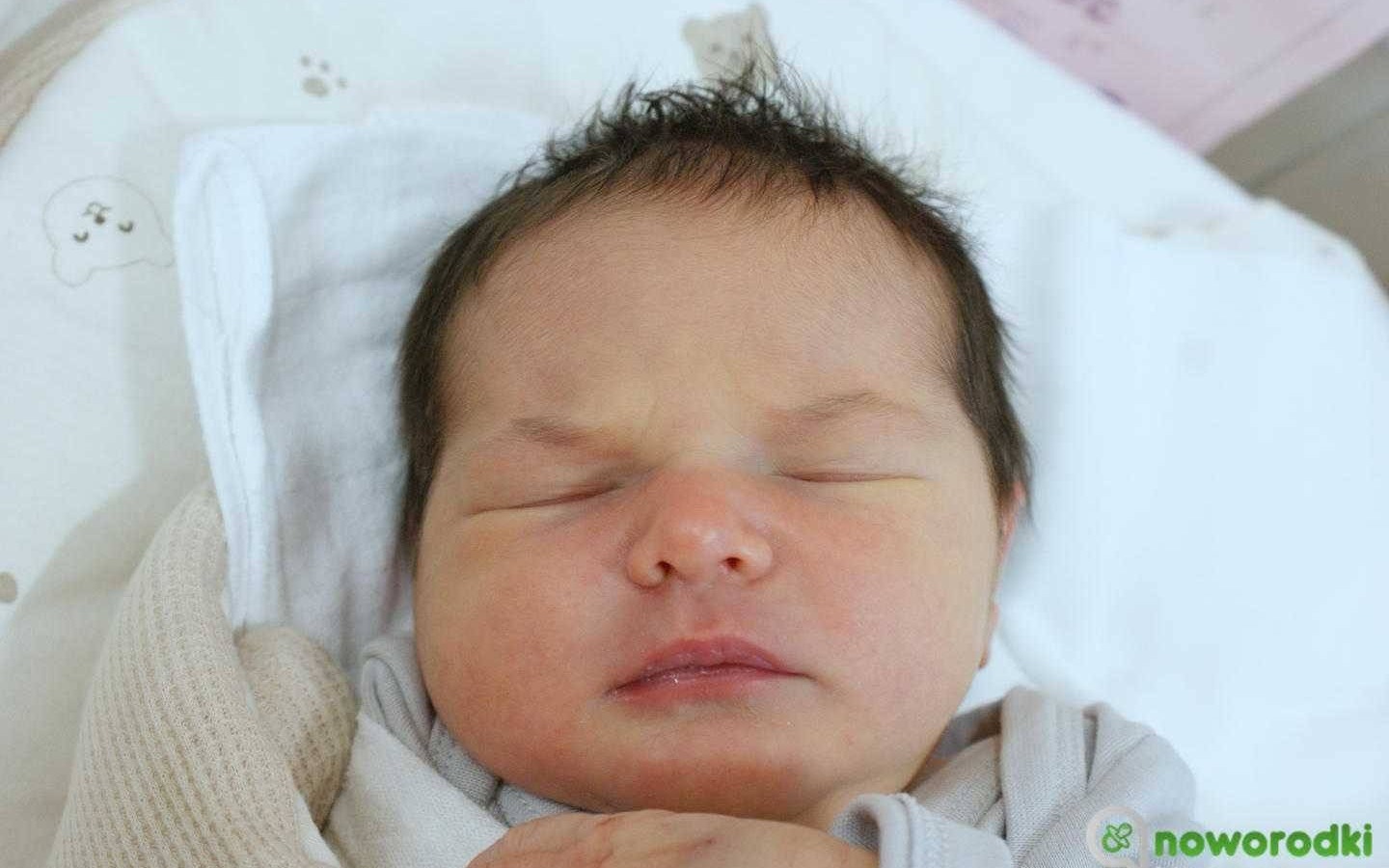 Noworodkowa galeria Faktów Oświęcim – FOTO