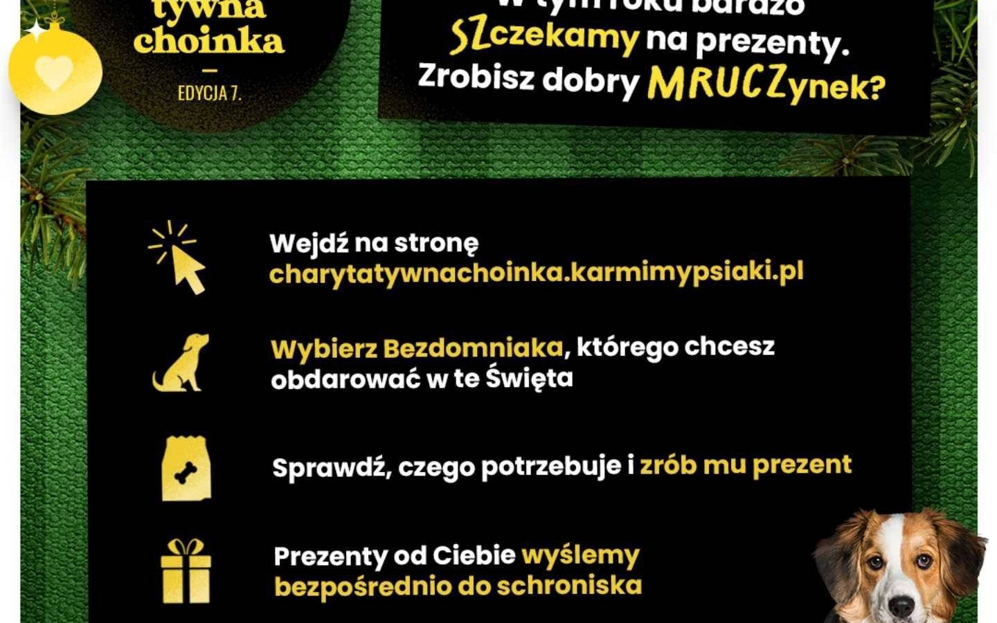 Oświęcimskie schronisko w akcji Charytatywna Choinka od Karmimy Psiaki