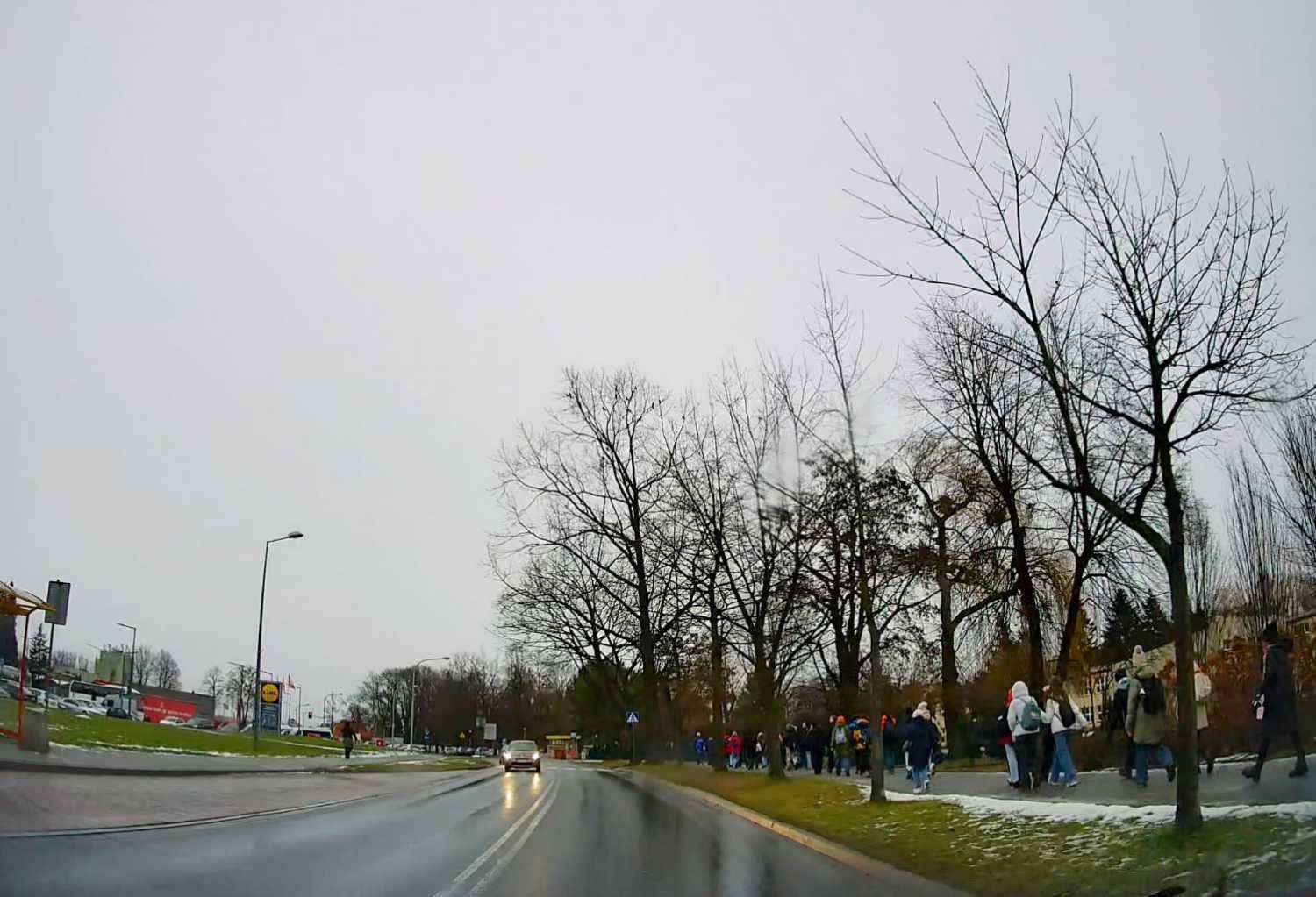 Prowadziła dzieci przez przejście z telefonem przy uchu – FOTO