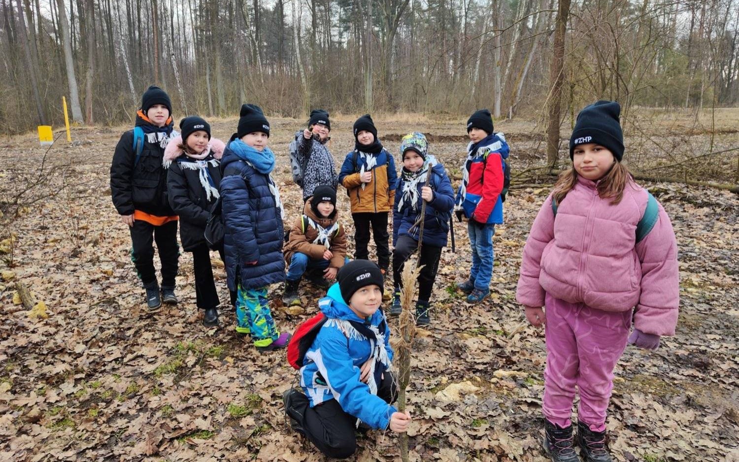 Czy las śpi zimą? Zimowy Rajd Hufca w Chełmku – FOTO