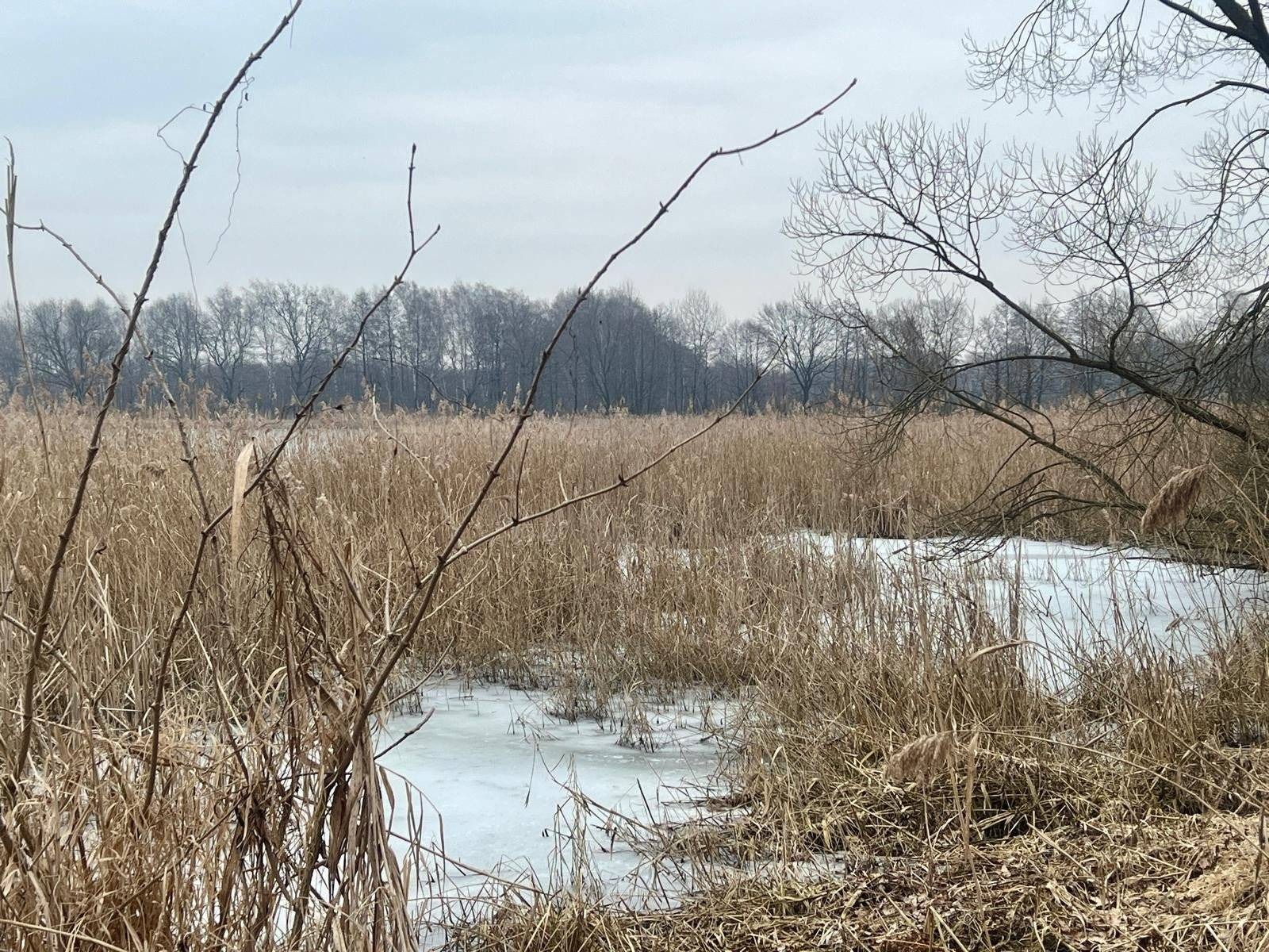 Odwierty przy Stawach Adolfińskich tylko do piątku