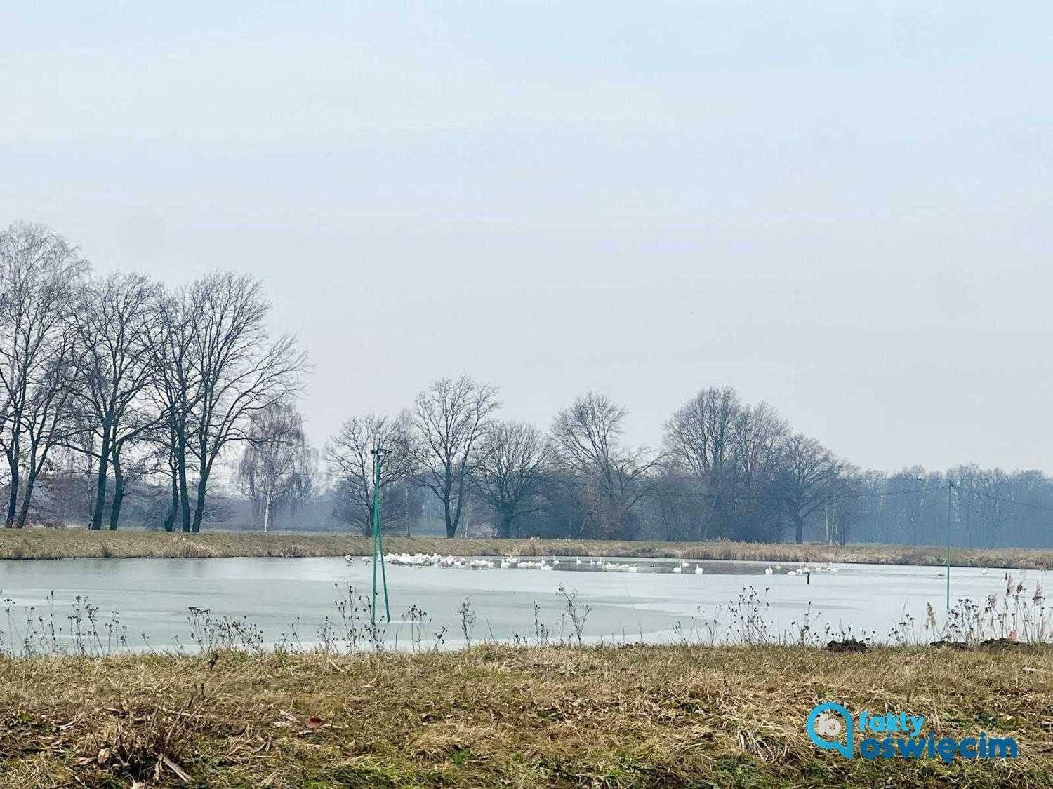Będzie gorąco. Spotkanie w sprawie Stawów Adolfińskich we wtorek