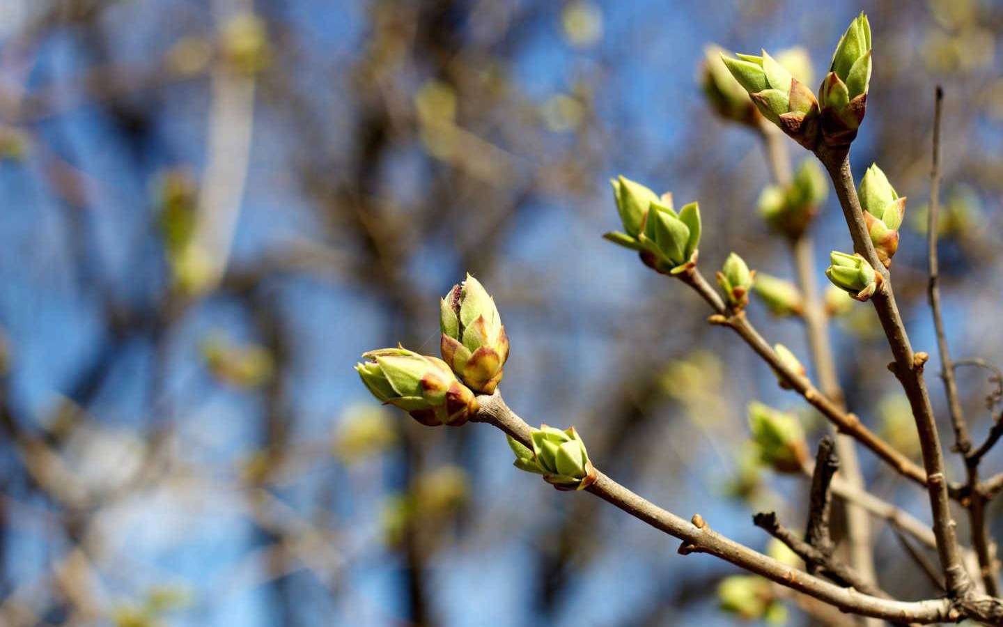 IMGW ostrzega: ślisko i zimno w powiecie oświęcimskim