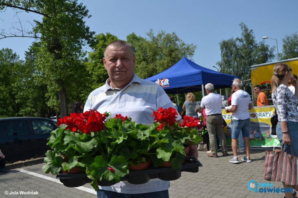 Oświęcim szykuje Ekomajówkę, zielone święto dla rodzin – FOTO