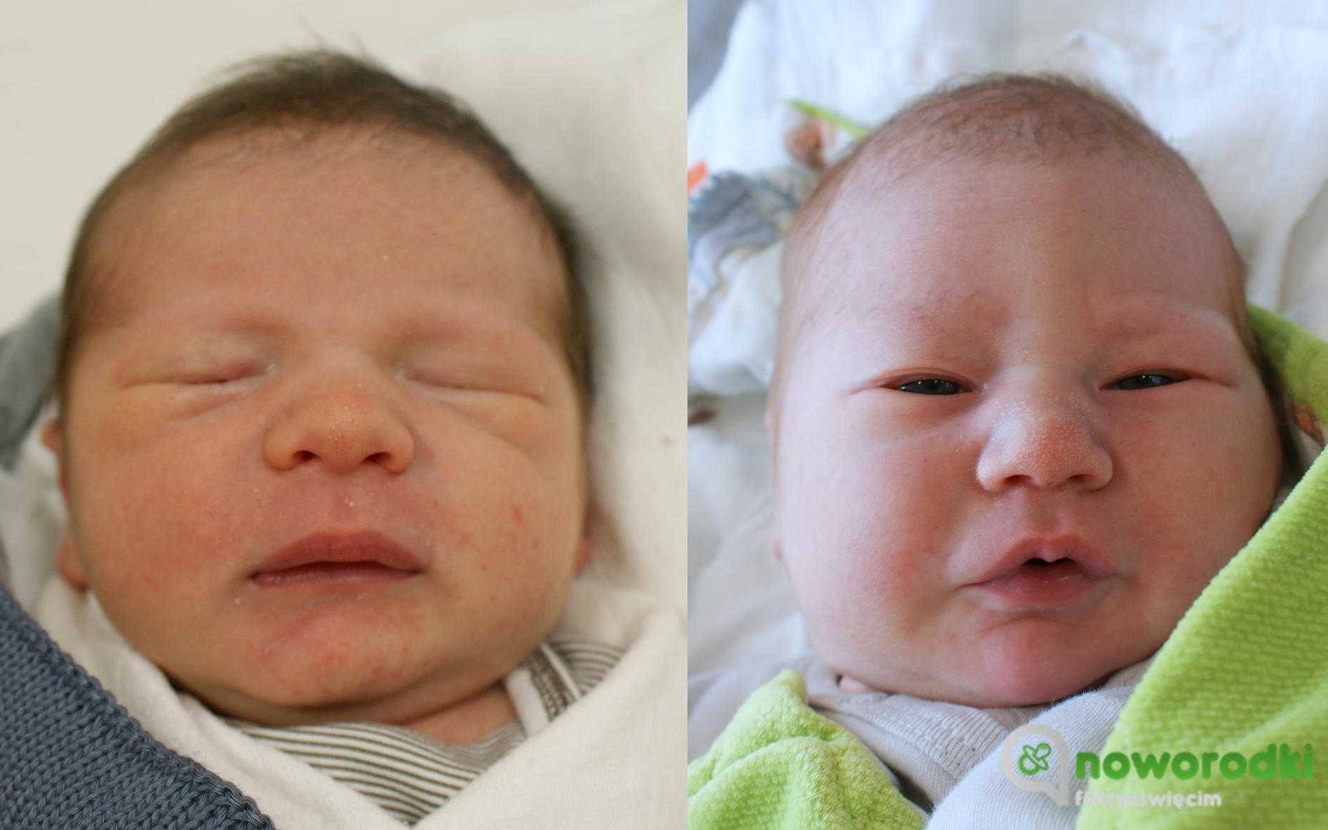 Noworodkowa galeria Faktów Oświęcim – FOTO