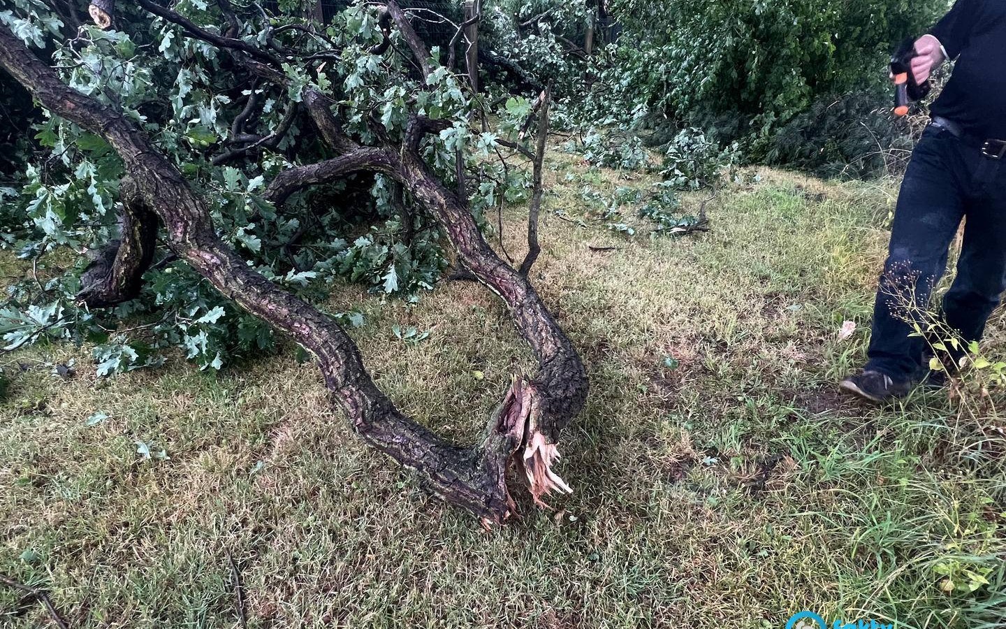 Ostrzeżenie dla mieszkańców: burze, grad i porywisty wiatr