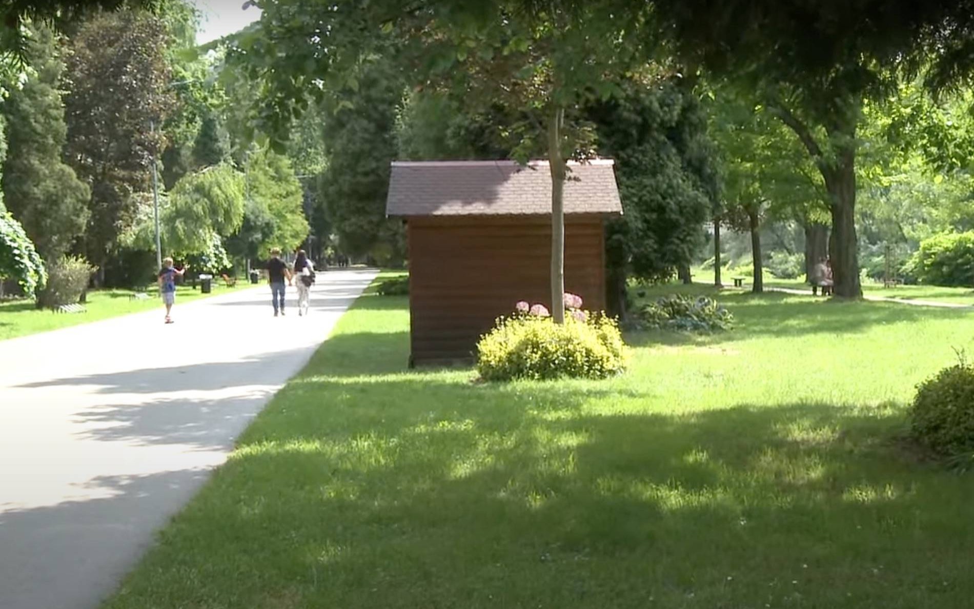 Oświęcimskie Wieści z ratusza – FILM