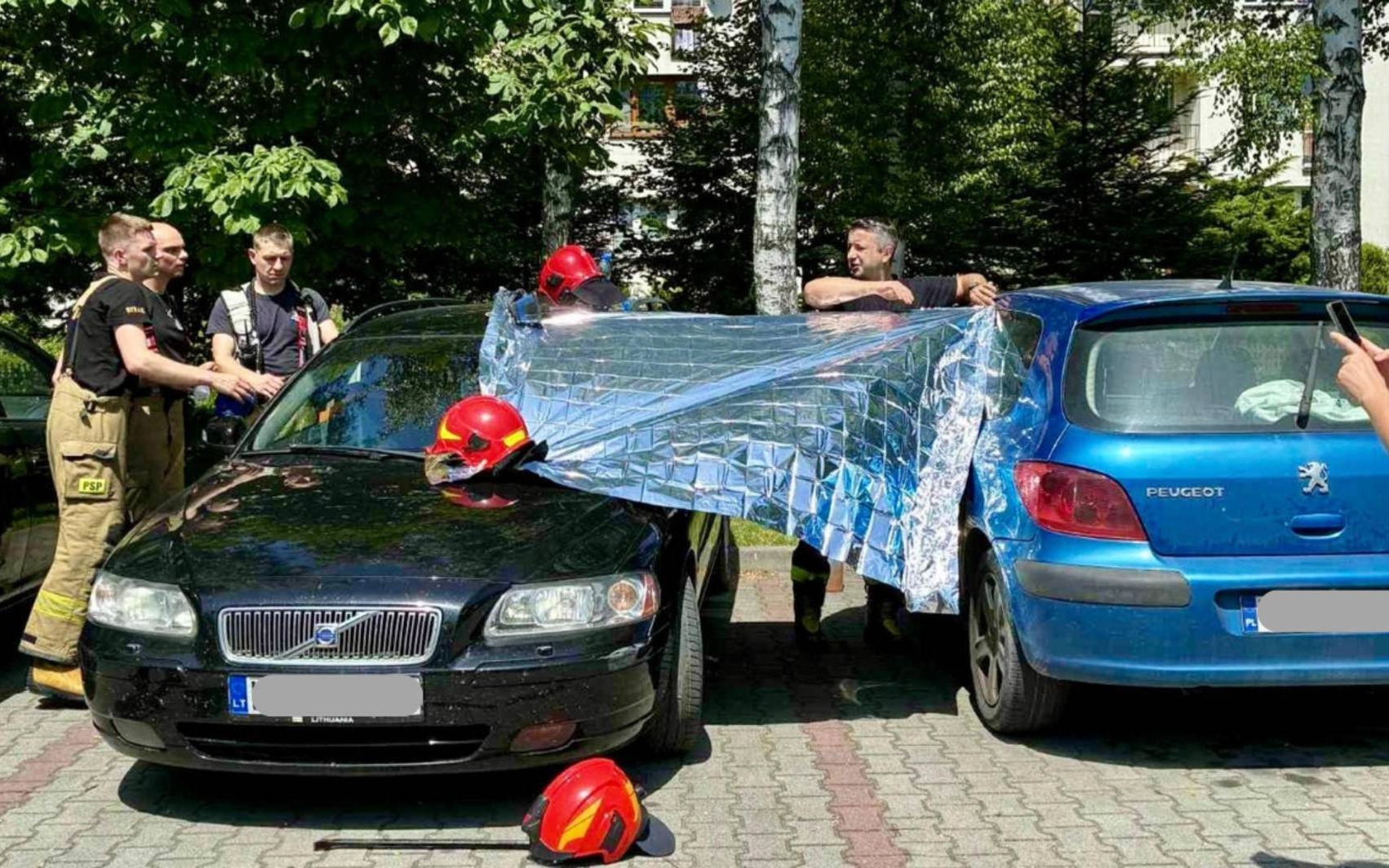 Turyści zostawili owczarka w nagrzanym samochodzie – FOTO