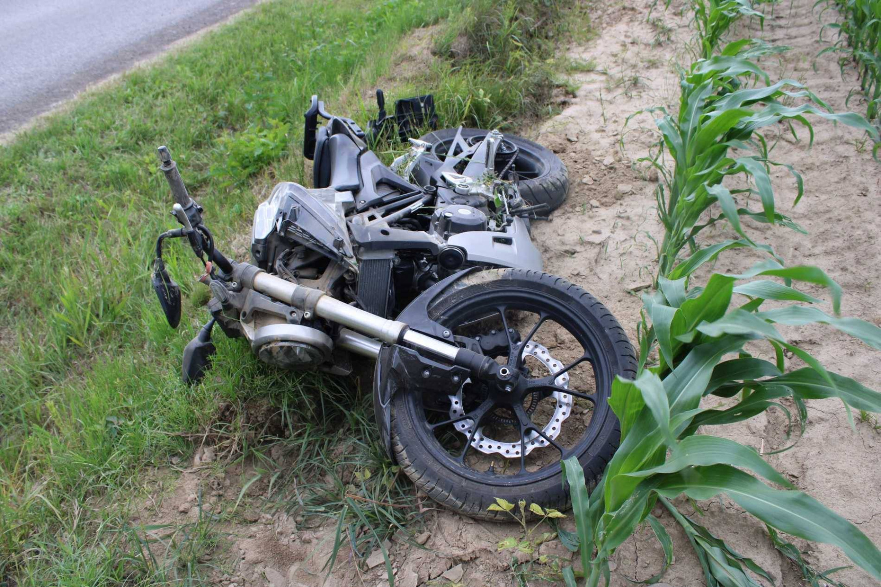 Motocyklem wprost do kukurydzy