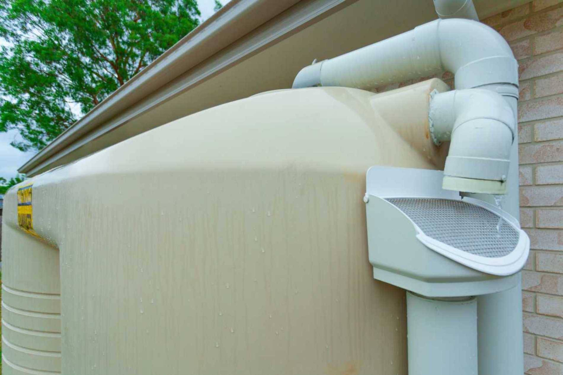 Woda na wagę złota. Warto zbierać deszczówkę