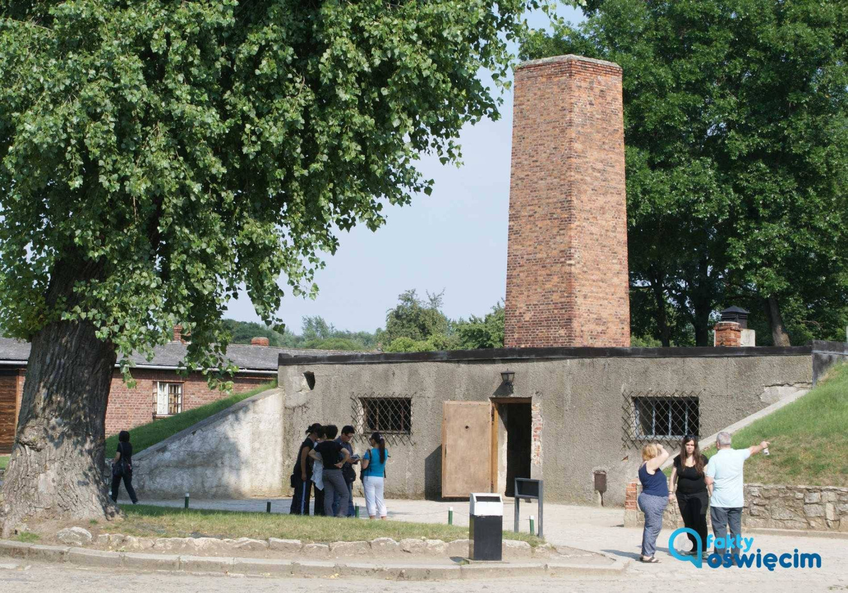 Grzegorz Braun neguje istnienie komór gazowych w Auschwitz