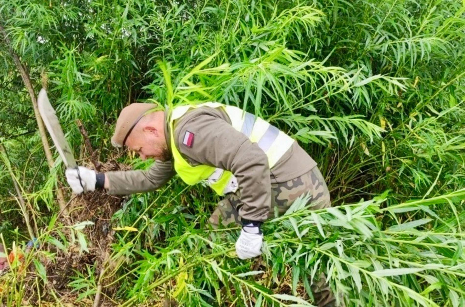 Żołnierze WOT wspierali Kęty przy Bulówce – FOTO
