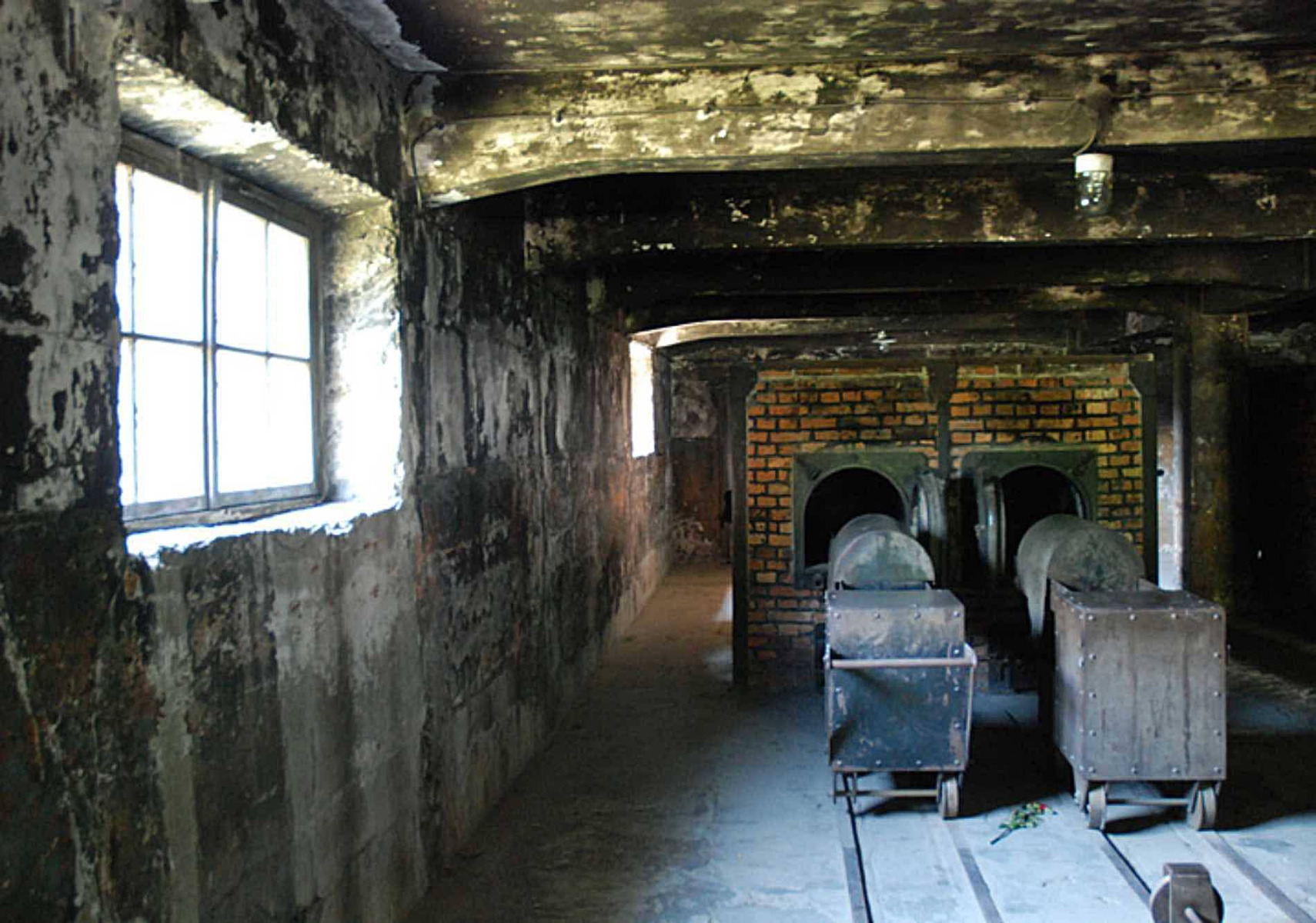 Dostaliśmy z Nowego Jorku list w sprawie słów posła Brauna