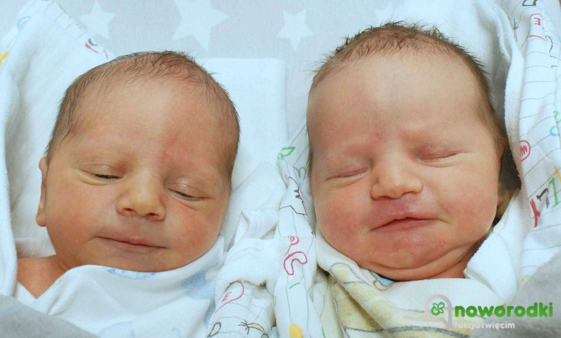 Noworodkowa galeria Faktów Oświęcim – FOTO