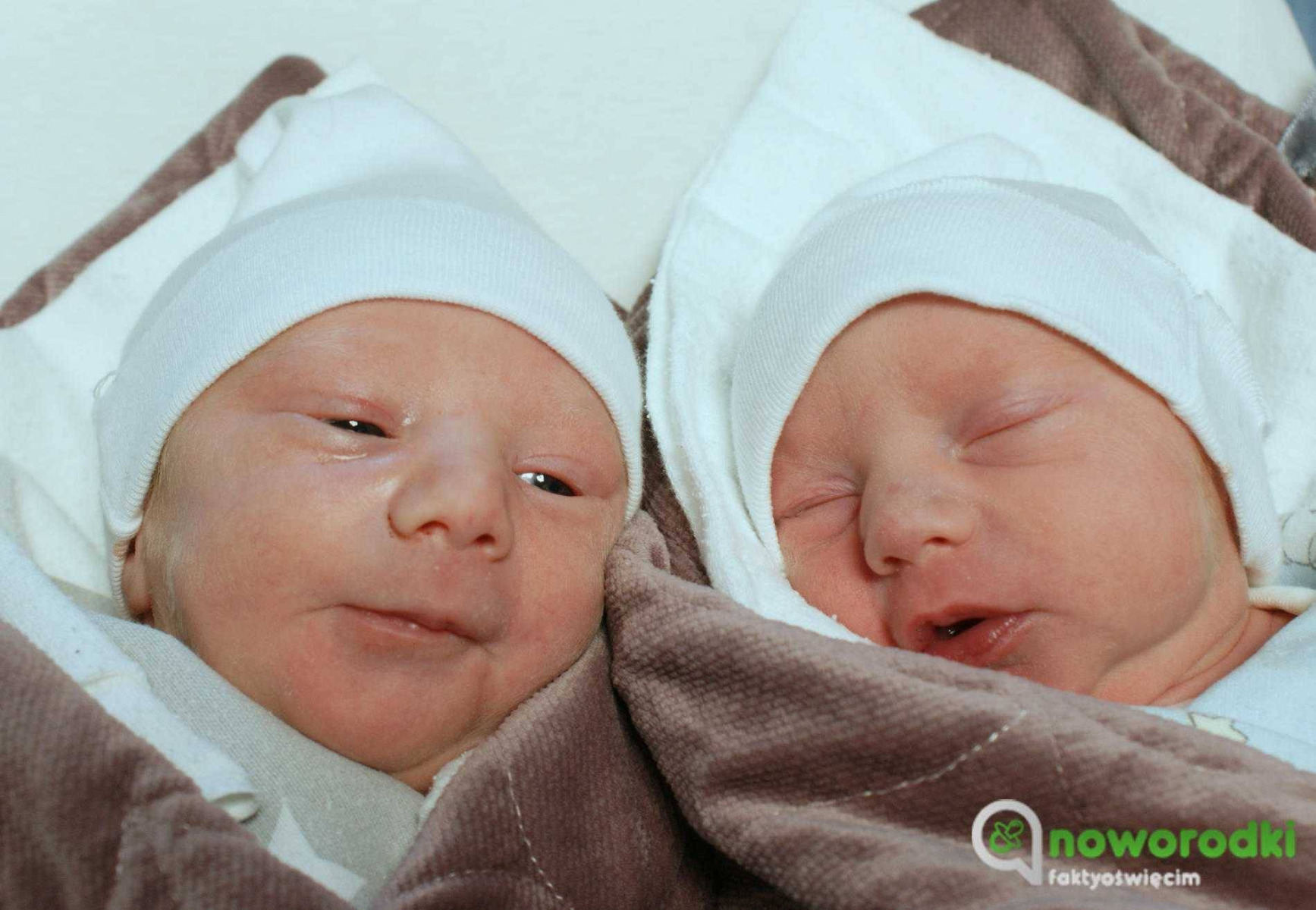 Noworodkowa galeria Faktów Oświęcim – FOTO