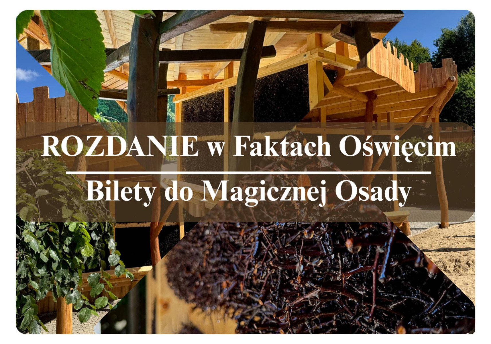 Godzina w tężni jak trzy dni nad Bałtykiem. Mamy dla was bilety